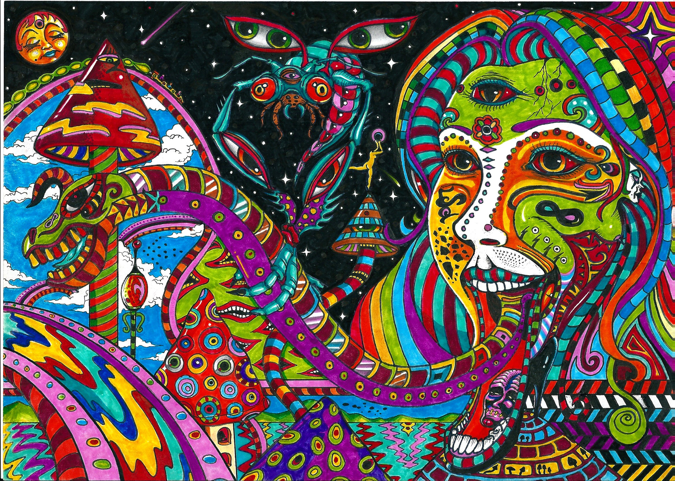 Titre By Acid Flo Traditional Art Drawings Psychedelic