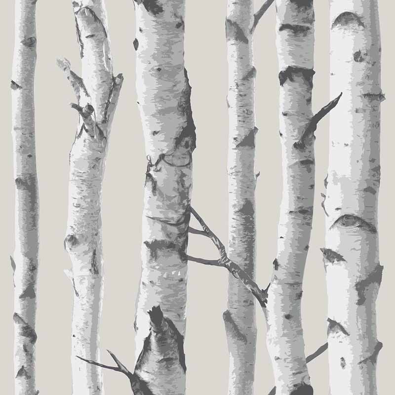 Birch Tree Peel And Stick NuWallpaper   RosenberryRoomscom 800x800