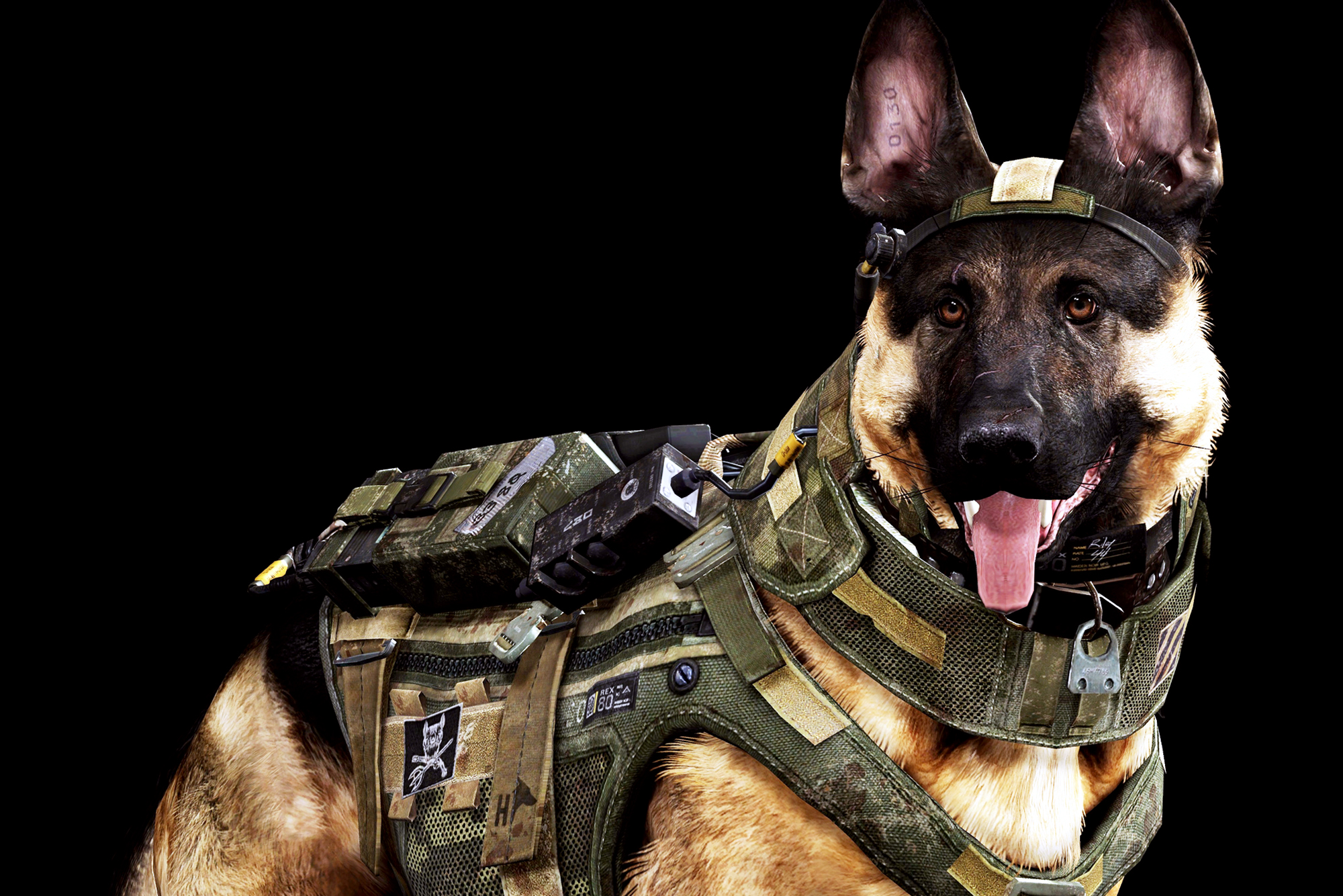 Dog Army Awesome Wallpaper HD