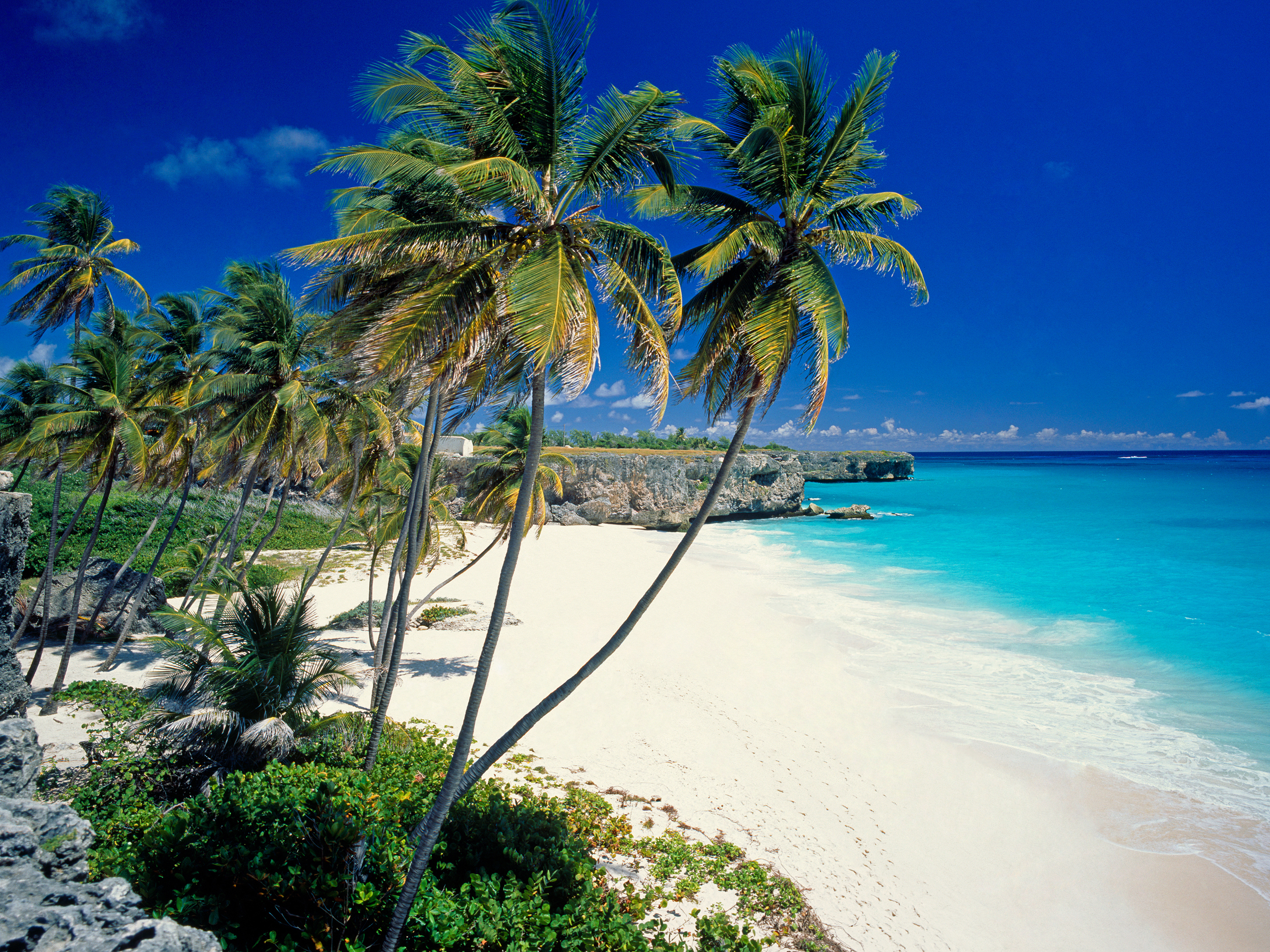 Sunny Beach In Barbados Wallpaper And Image