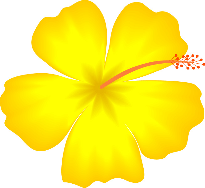 Hawaiian Flower Clipart HD Wallpaper Background In Flowers