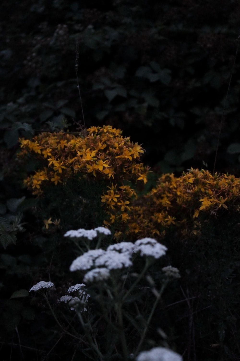 Aesthetic Indie Grunge Wallpaper On