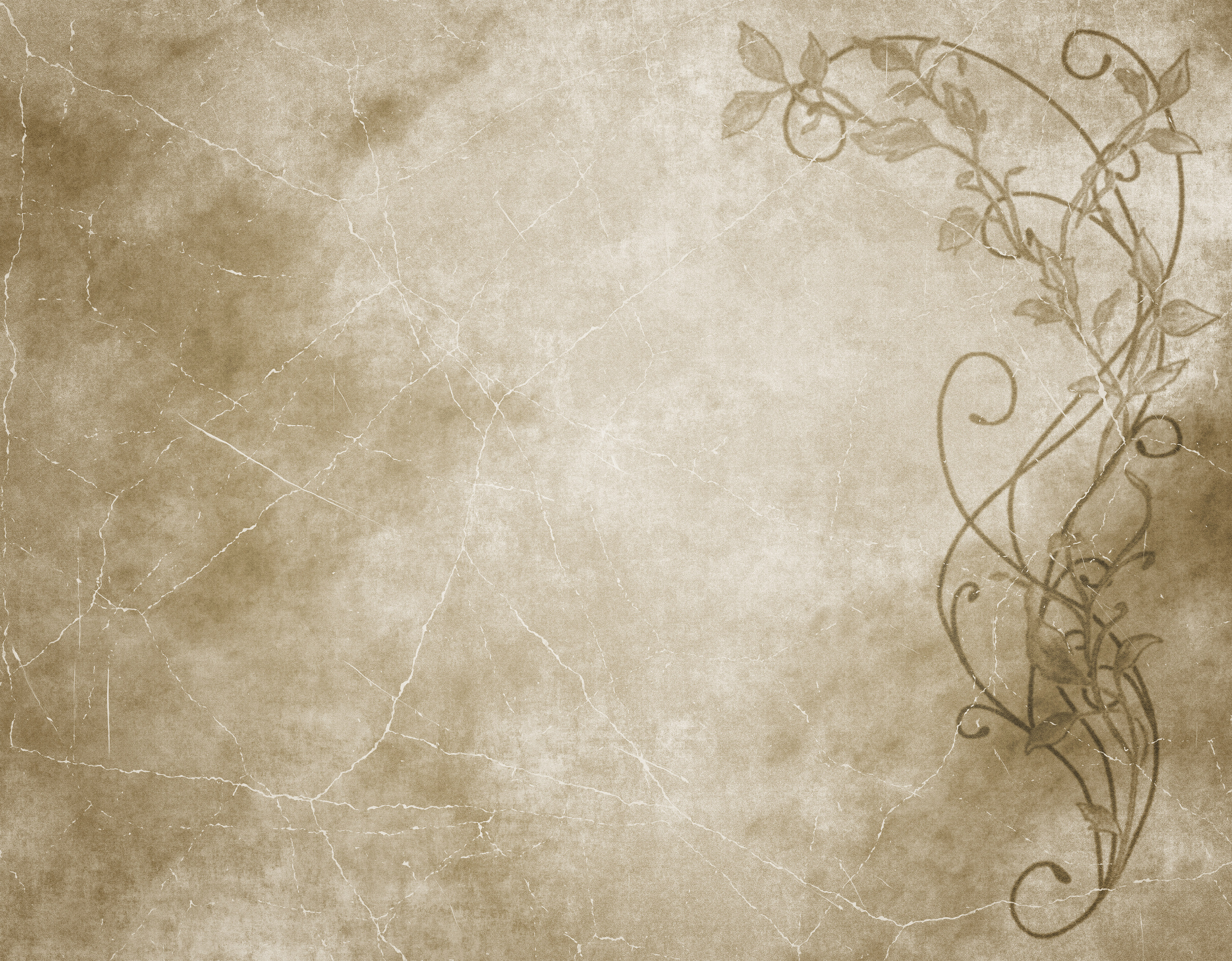 Old Floral Paper Or Parchment Background Texture