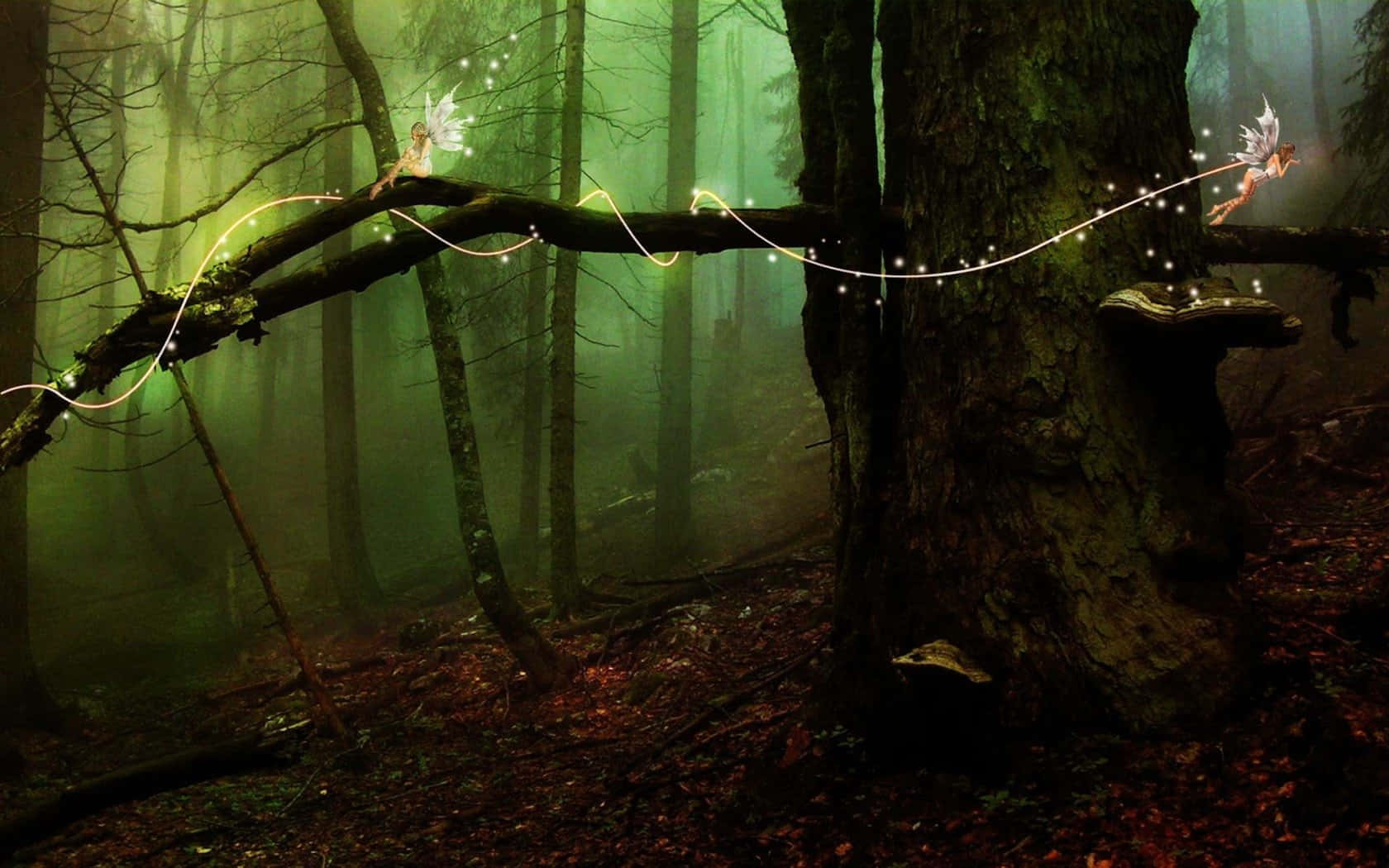 Fairy Forest Background Wallpaper