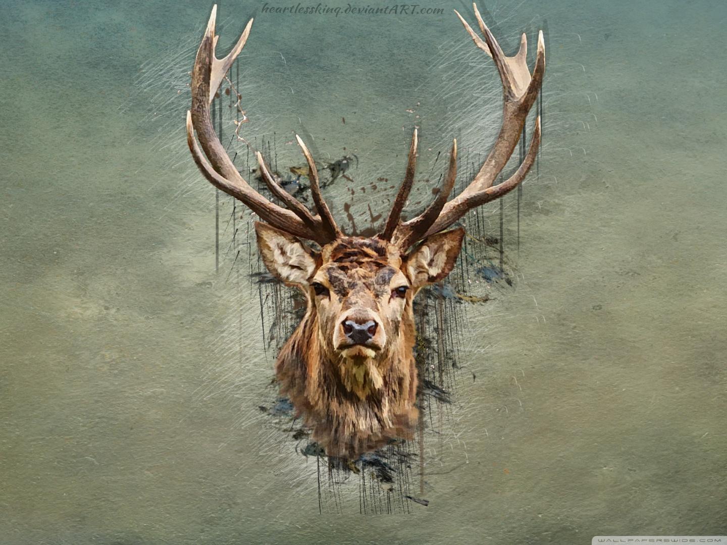 Cool Deer Wallpaper Top Background