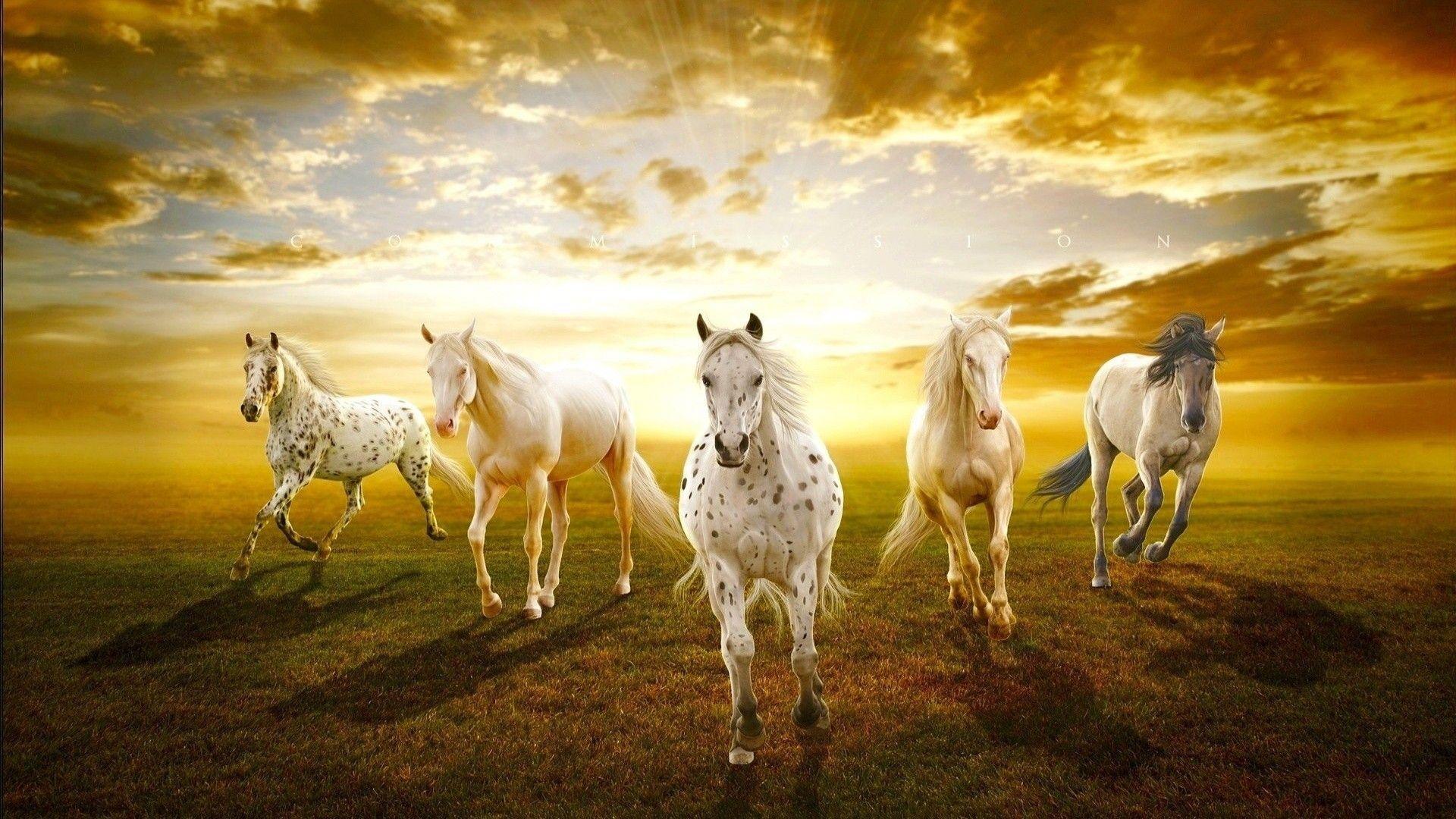 Seven Horses Wallpaper For Android Apk