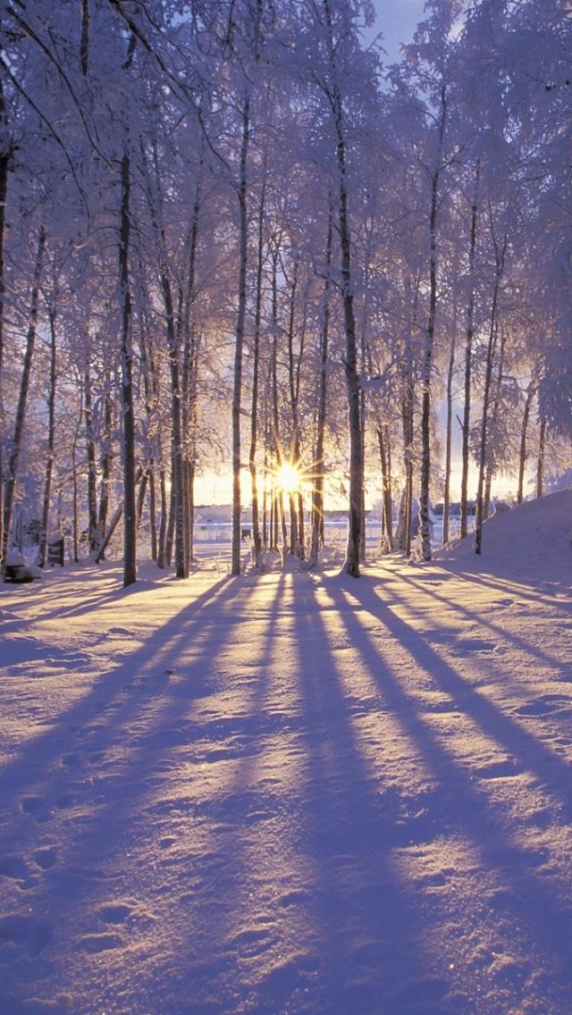 Free download Winter iphone wallpaper hd SF Wallpaper [640x1136] for