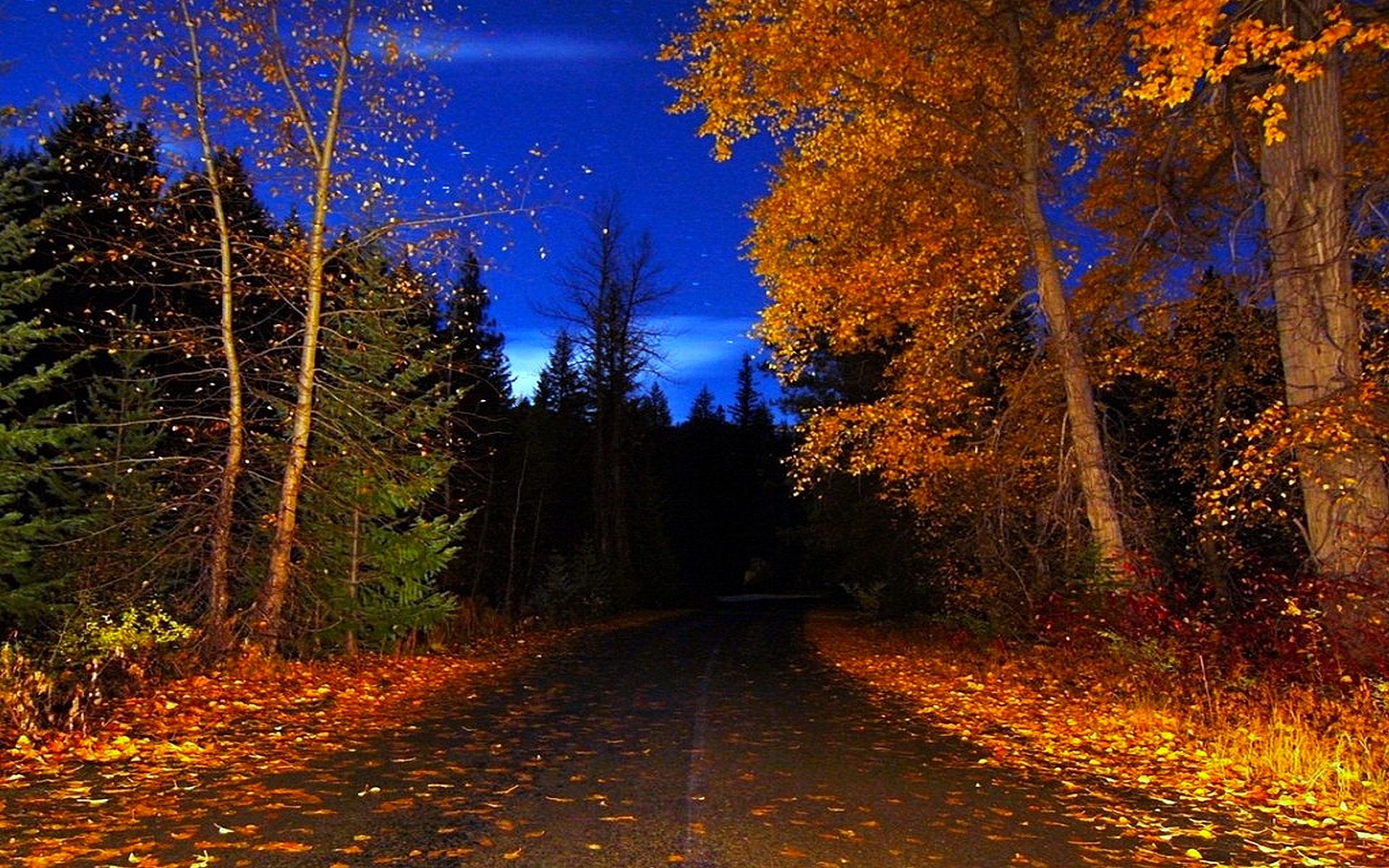 COUNTRY ROAD AUTUMN BLUE SKY COUNTRY FALL NIGHT OLD ROAD STARS