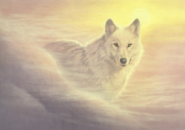 Mystic Wolf Wall Mural Photo Wallpaper Photowall