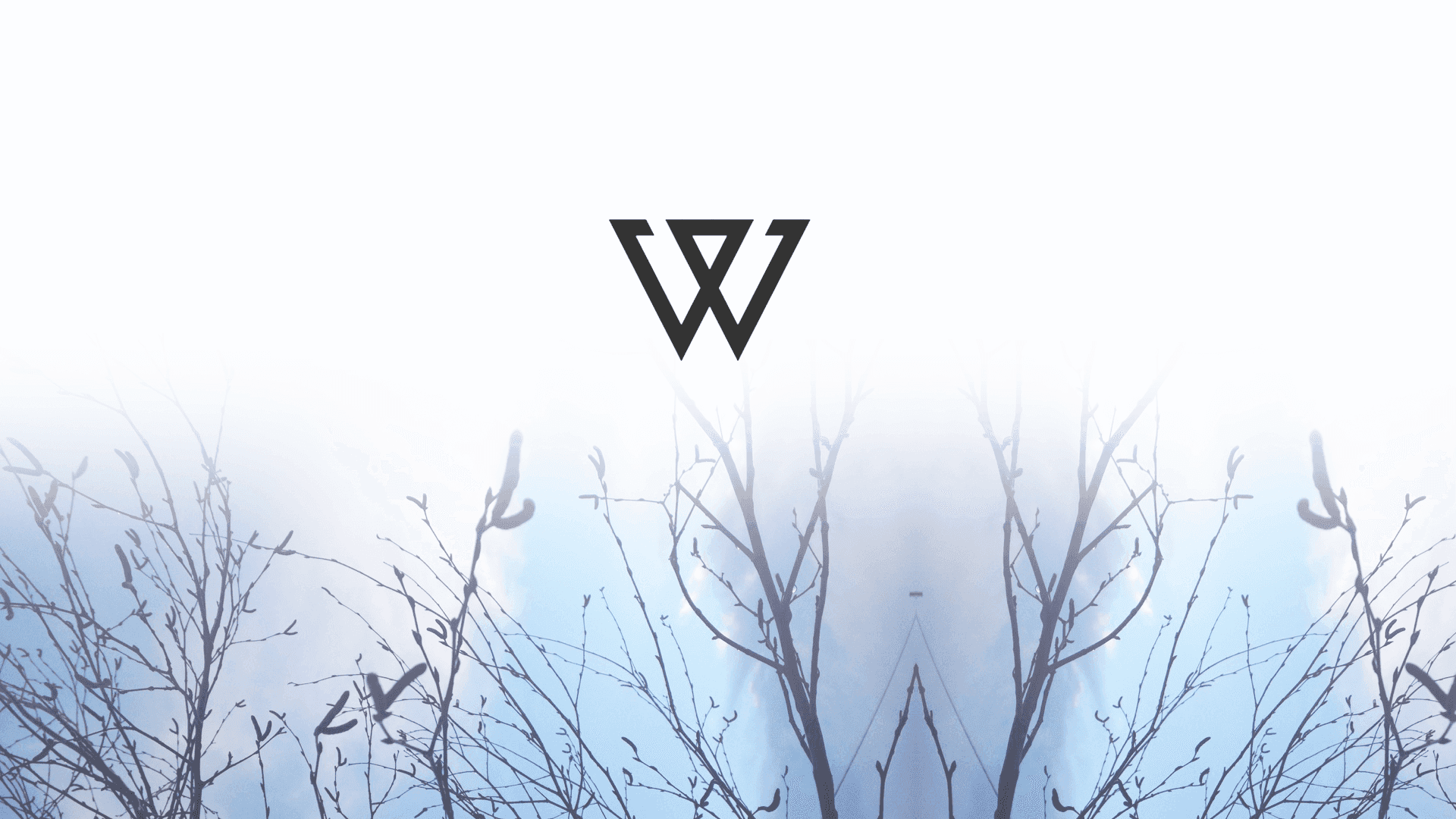 Winner Background Wallpaper