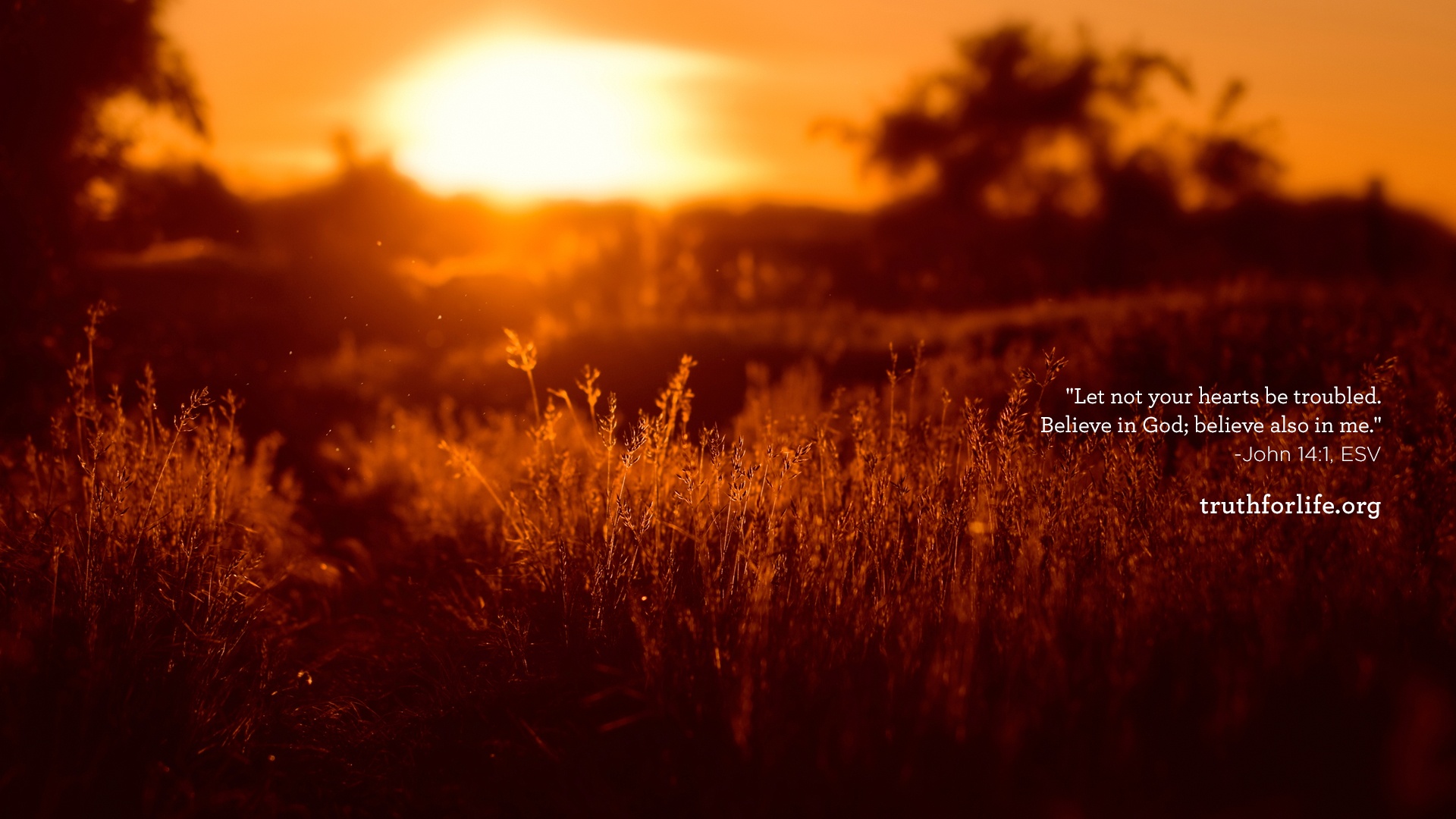 Best Belief In God Wallpaper