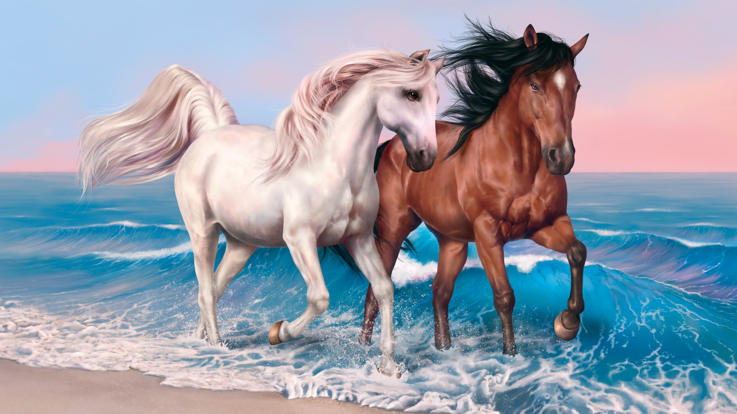 Wallpaper Horses 4k HD Run Sea Ocean Sunset White