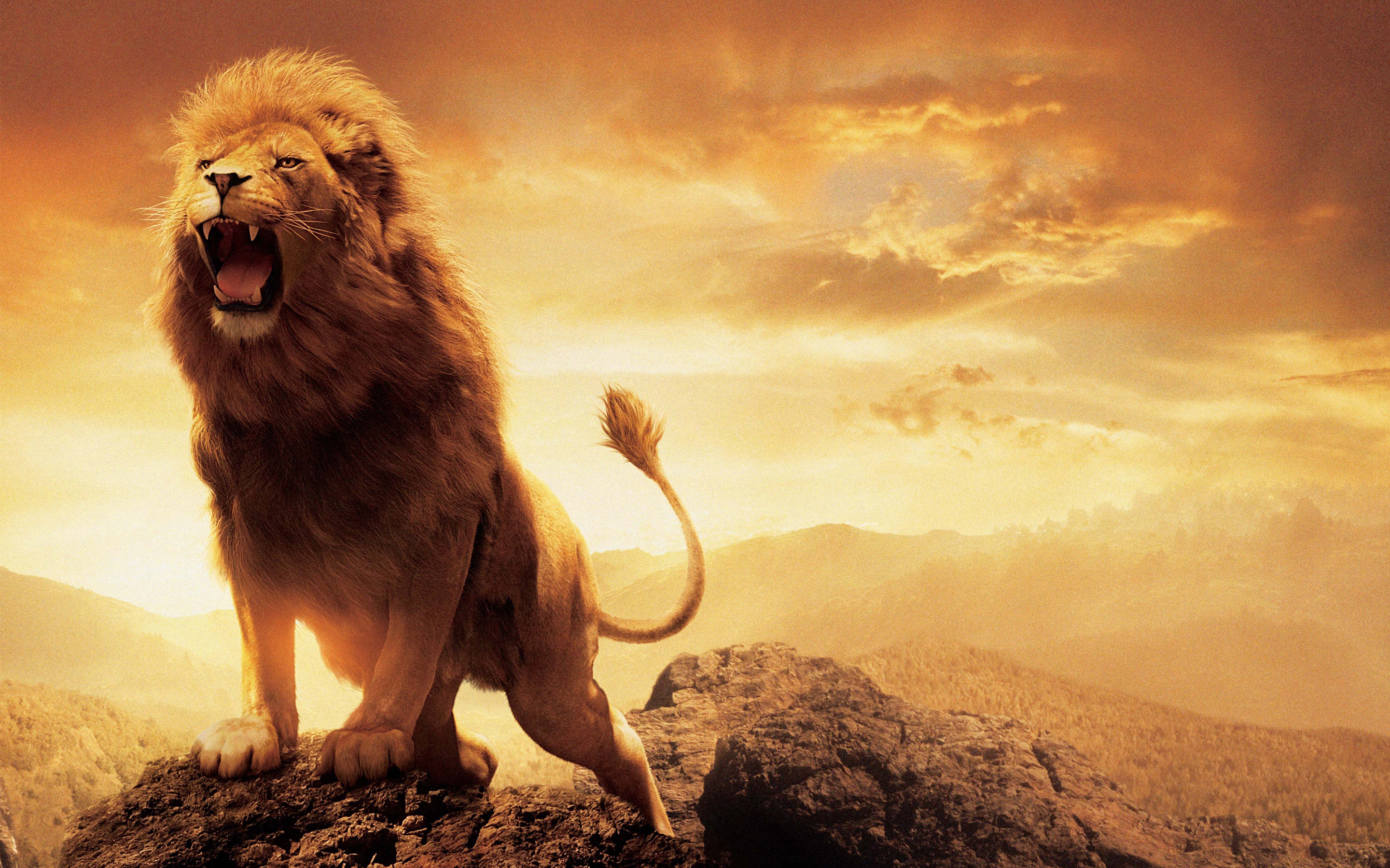 The Narnia Lion Aslan Wallpaper