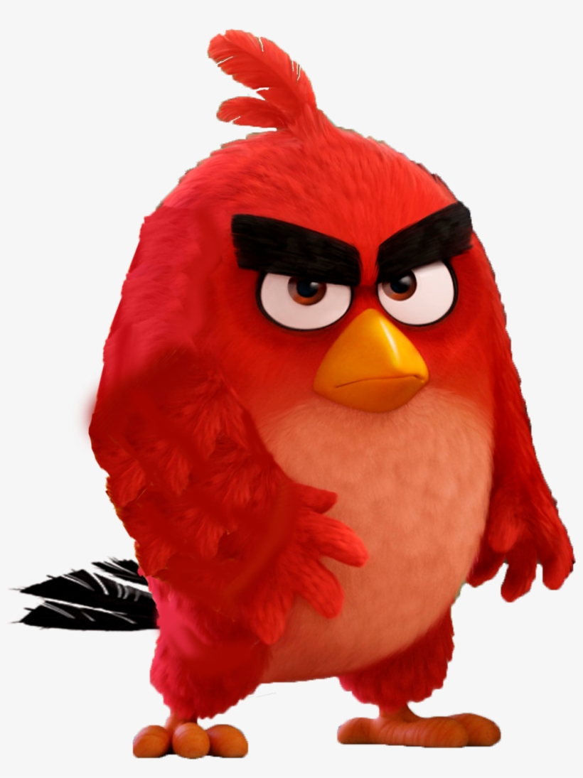 Angry Birds Image Red HD Wallpaper And Background