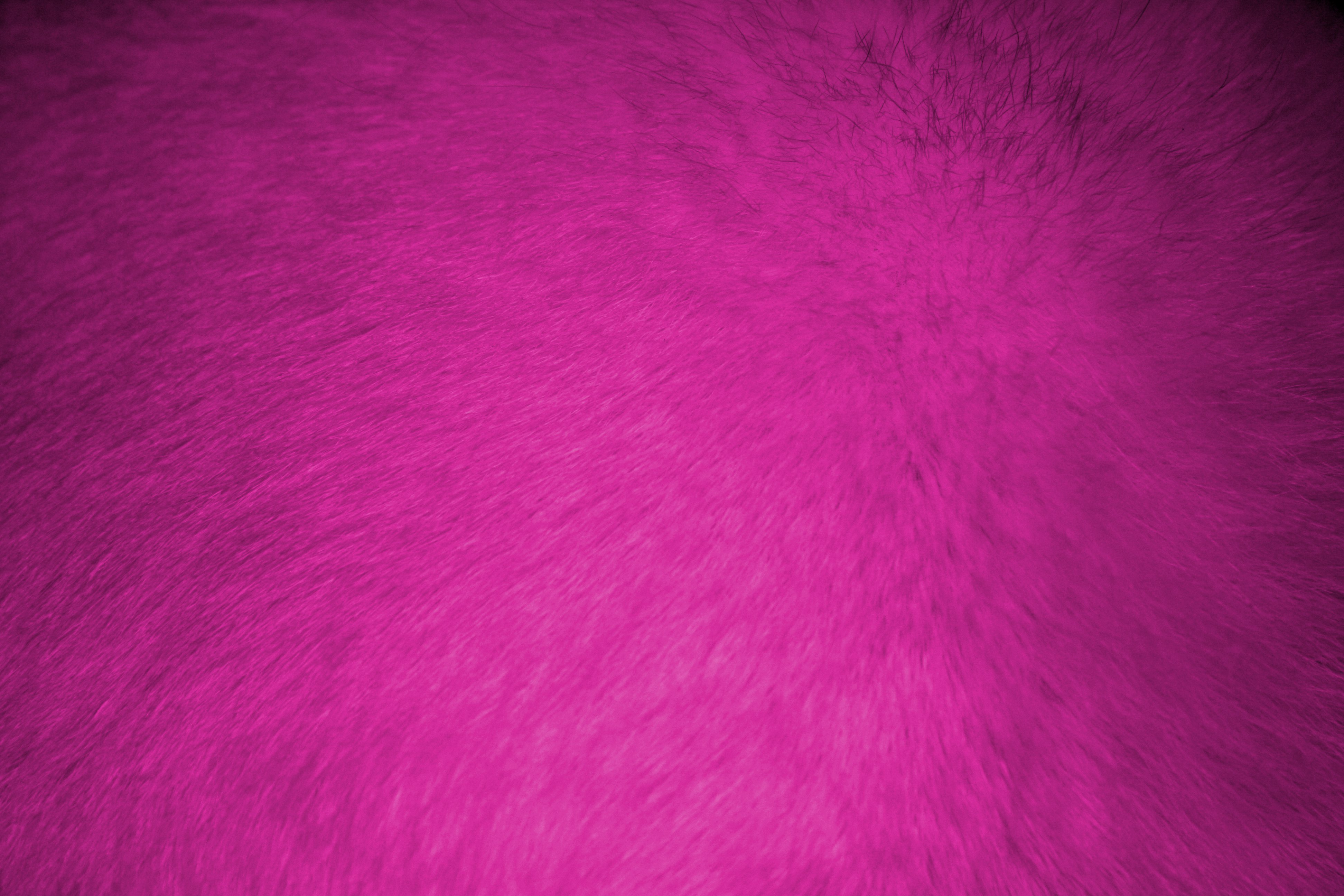 Hot Pink Fur Texture High Resolution Photo Dimensions