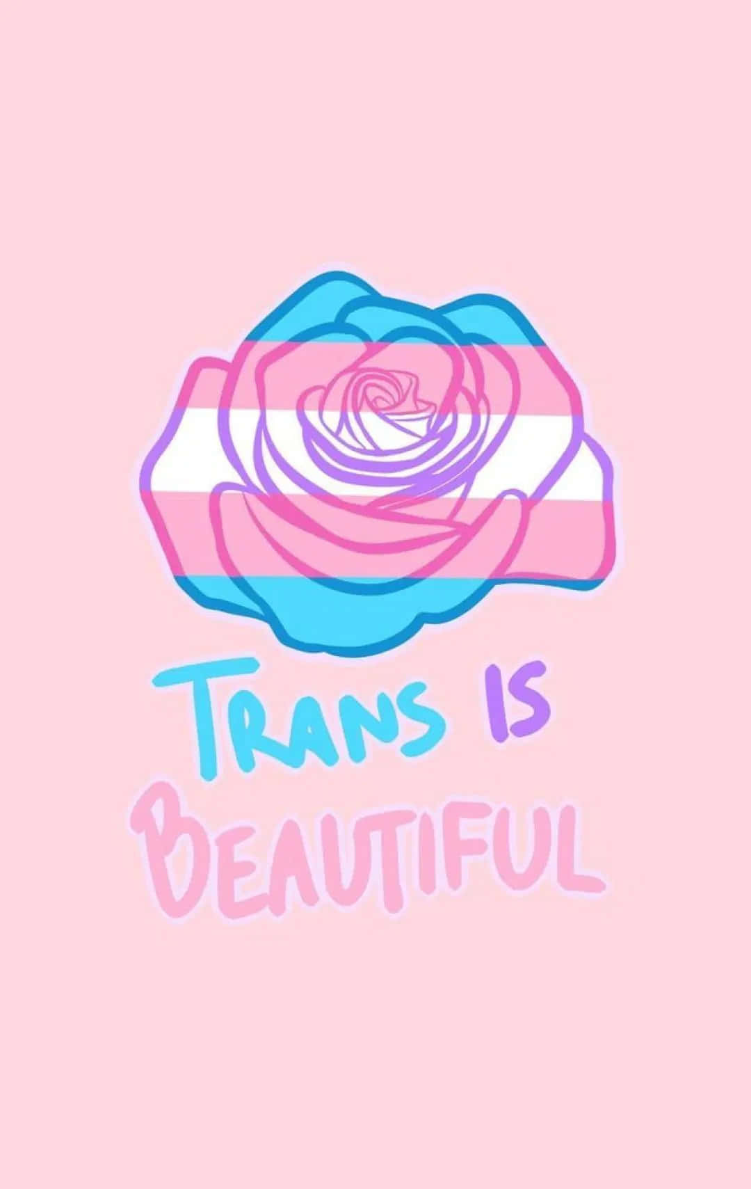 Trans Flag Wallpaper