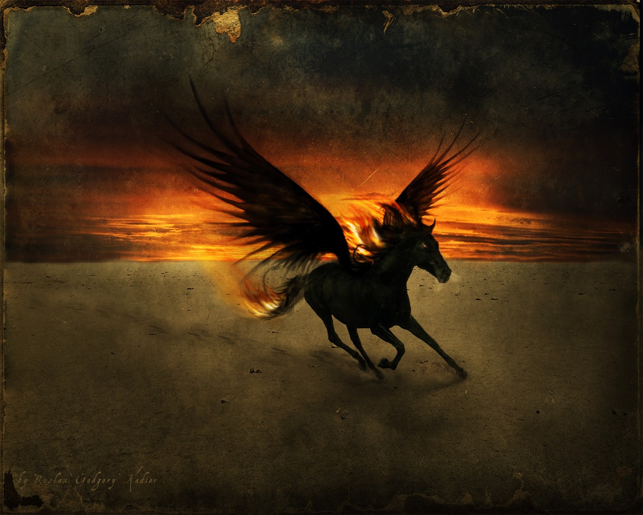 Black Pegasus Wallpaper Background