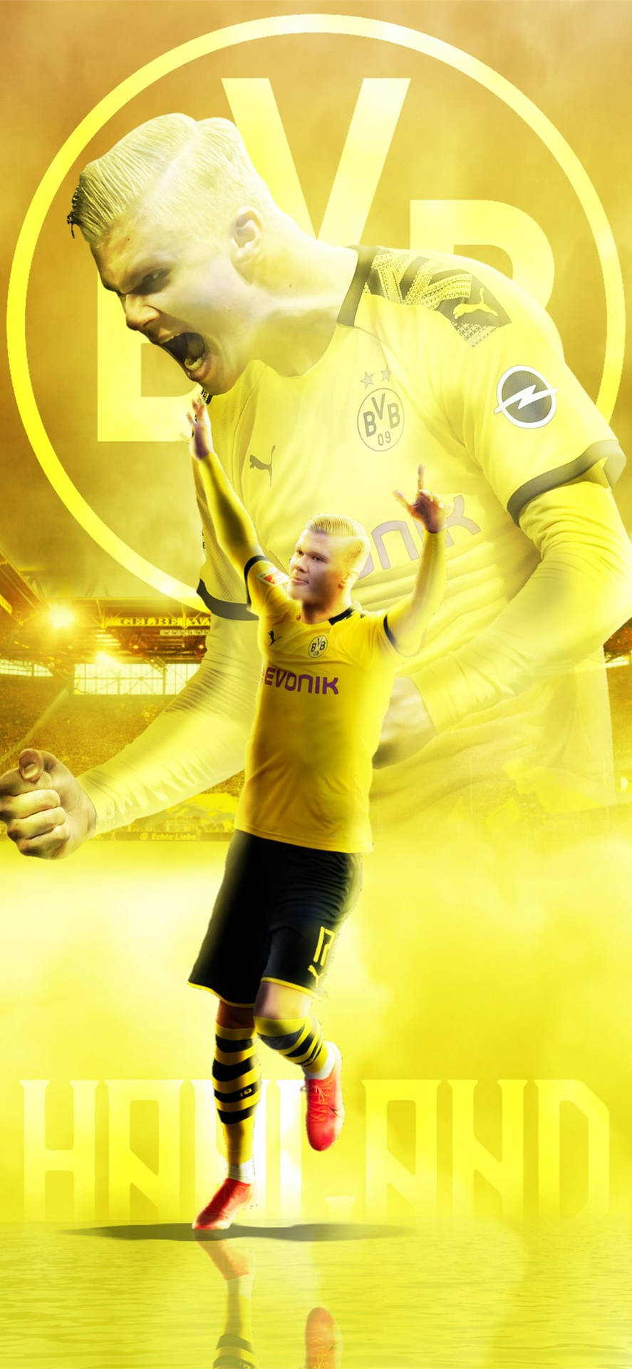 Erling Haaland Wallpaper
