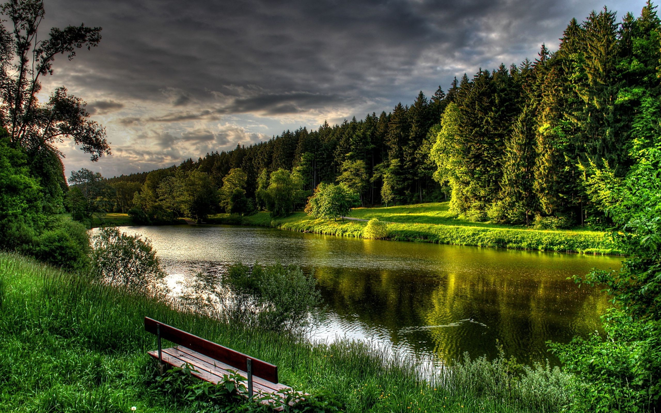 Lake Forest Wallpaper HD