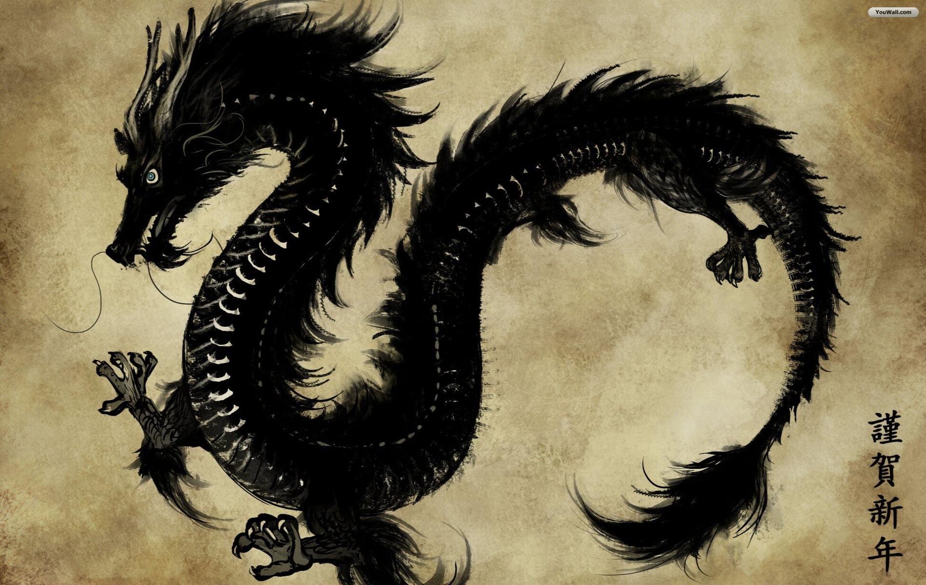 Youwall Black Dragon Wallpaper