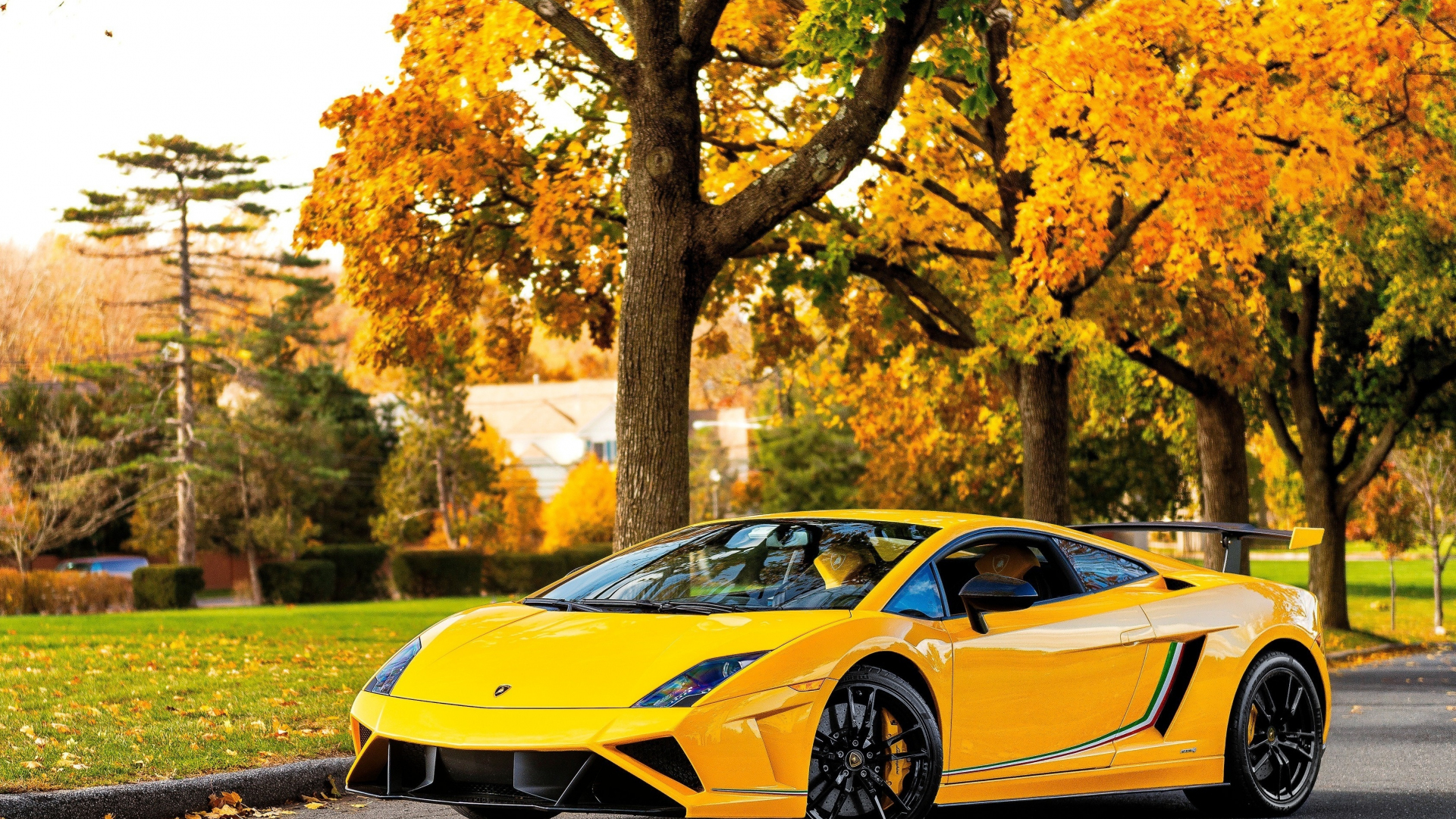 Lamborghini Gallardo Wallpaper HD