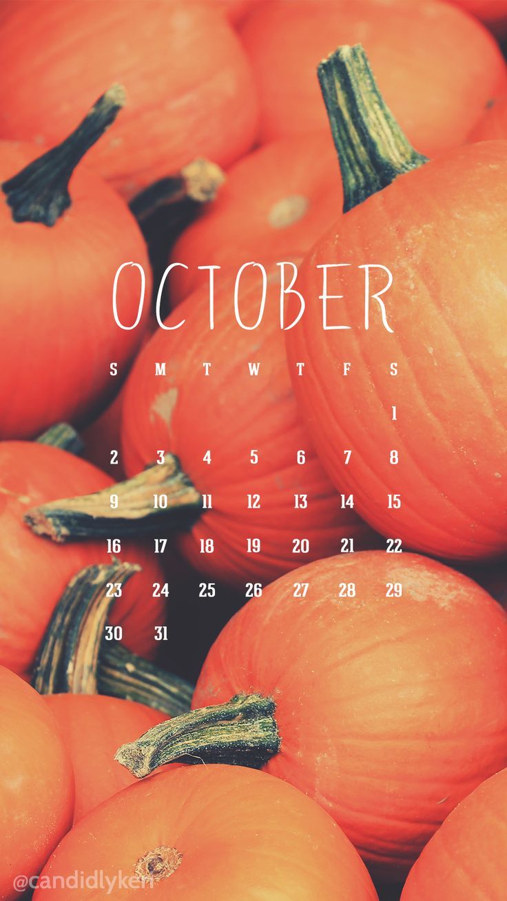 Cute Pumpkin Patch Image October Calendar Wallpaper You Can