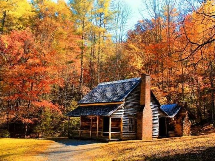 log cabin with autumn background Primitive Historic Architecture