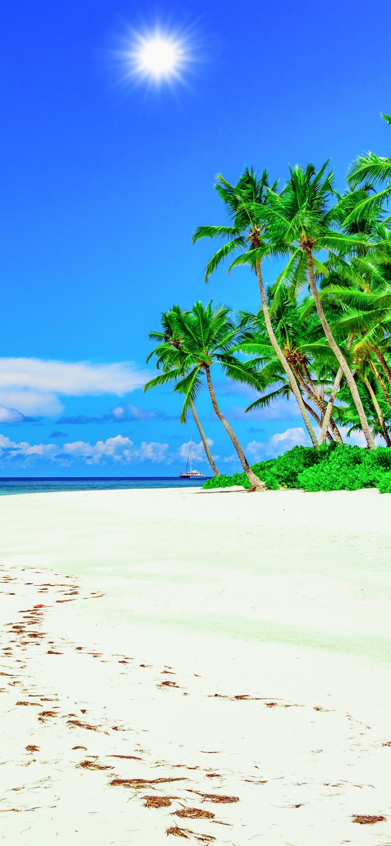 free-download-beach-palm-trees-blue-sky-summer-tropical-1242x2688