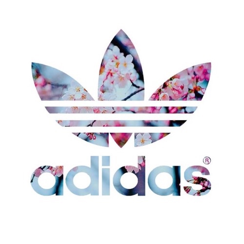 Free download We Heart It httpsweheartitcomentry166207877 adidas background  [500x500] for your Desktop, Mobile & Tablet | Explore 50+ Adidas Wallpaper  Tumblr | Adidas 2015 Wallpaper, Adidas Wallpapers, Adidas Wallpaper