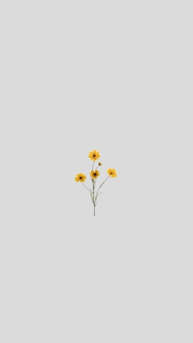 Cute iPhone Wallpaper HD Quality