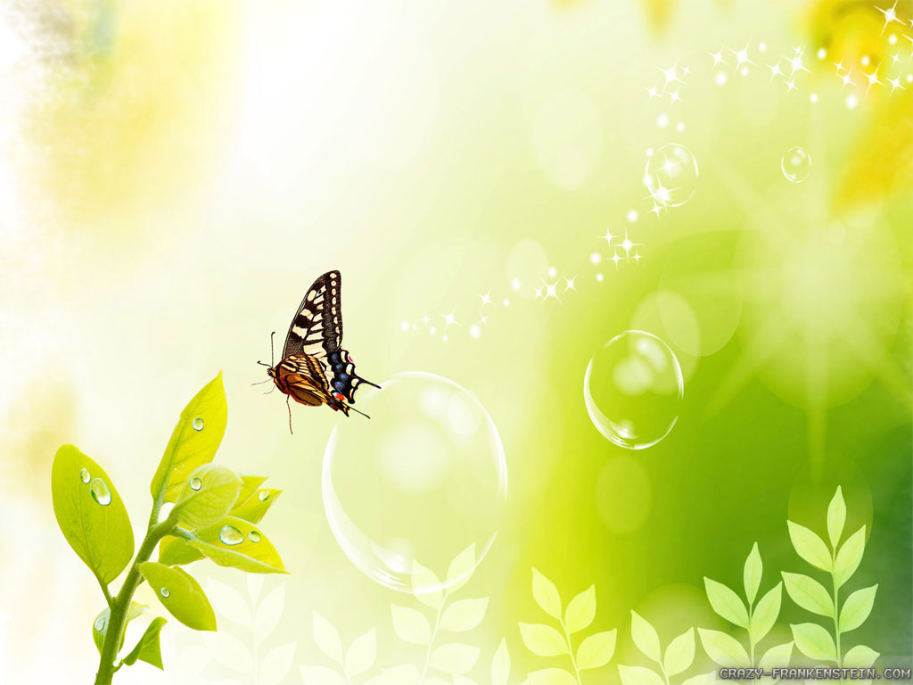 Spring Butterfly Wallpaper For Puter HD Site