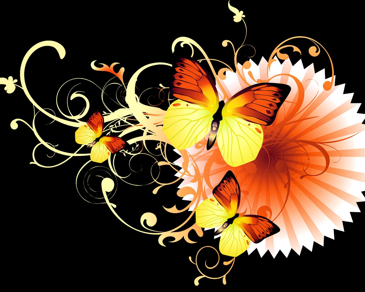 Cool Butterfly Wallpaper Background Hq