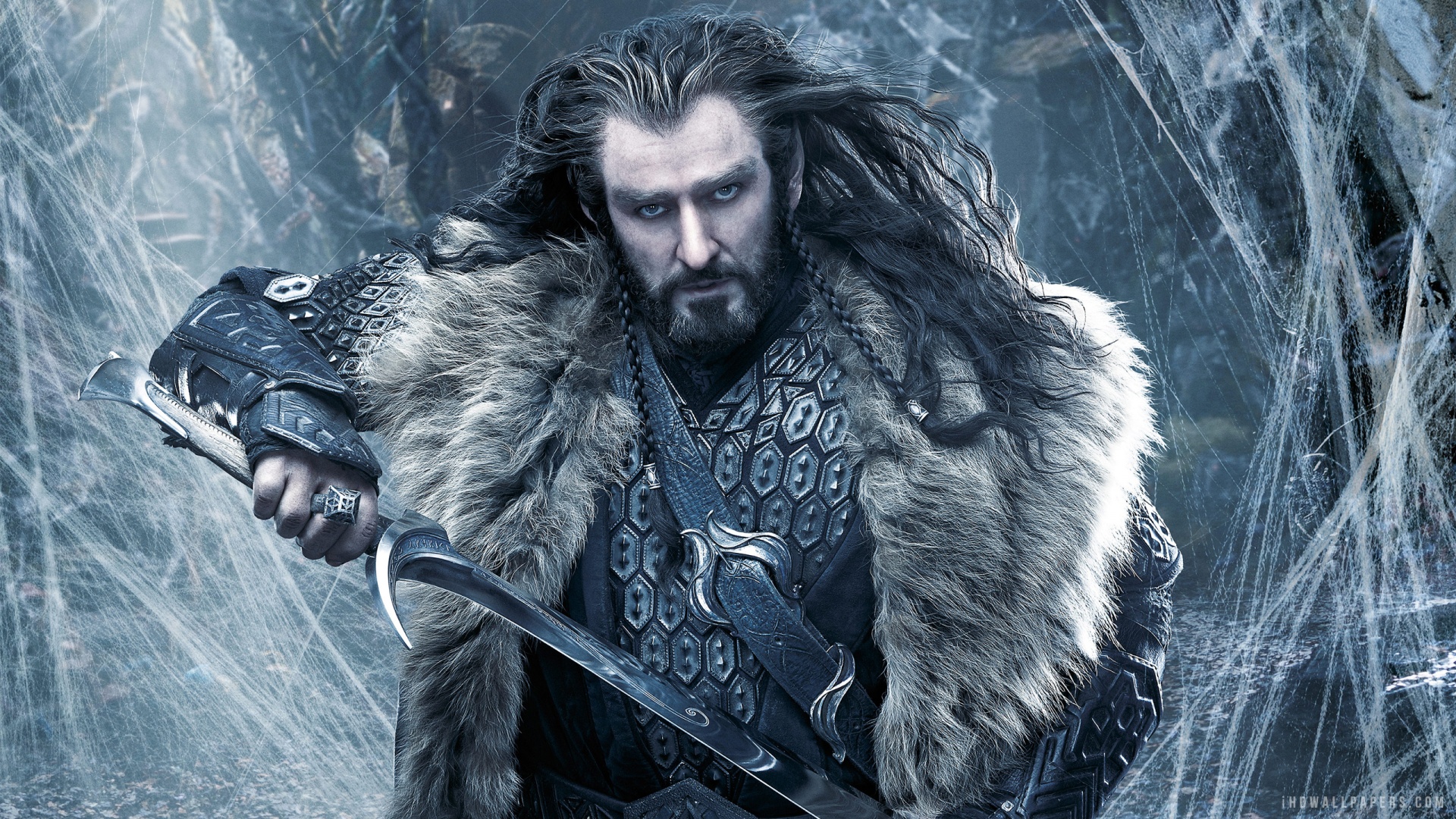 Thorin In The Hobbit HD Wallpaper IHD