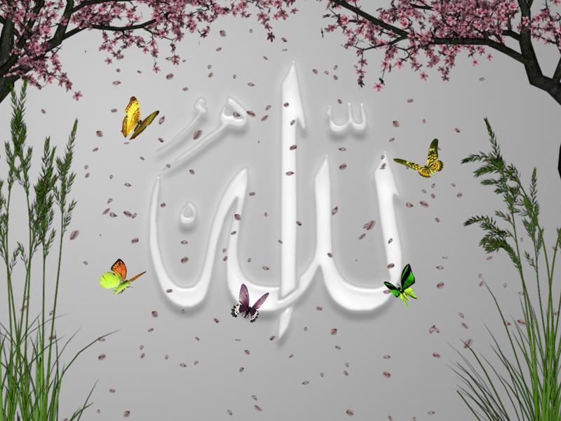 Beautiful Name Of Allah Wallpaper