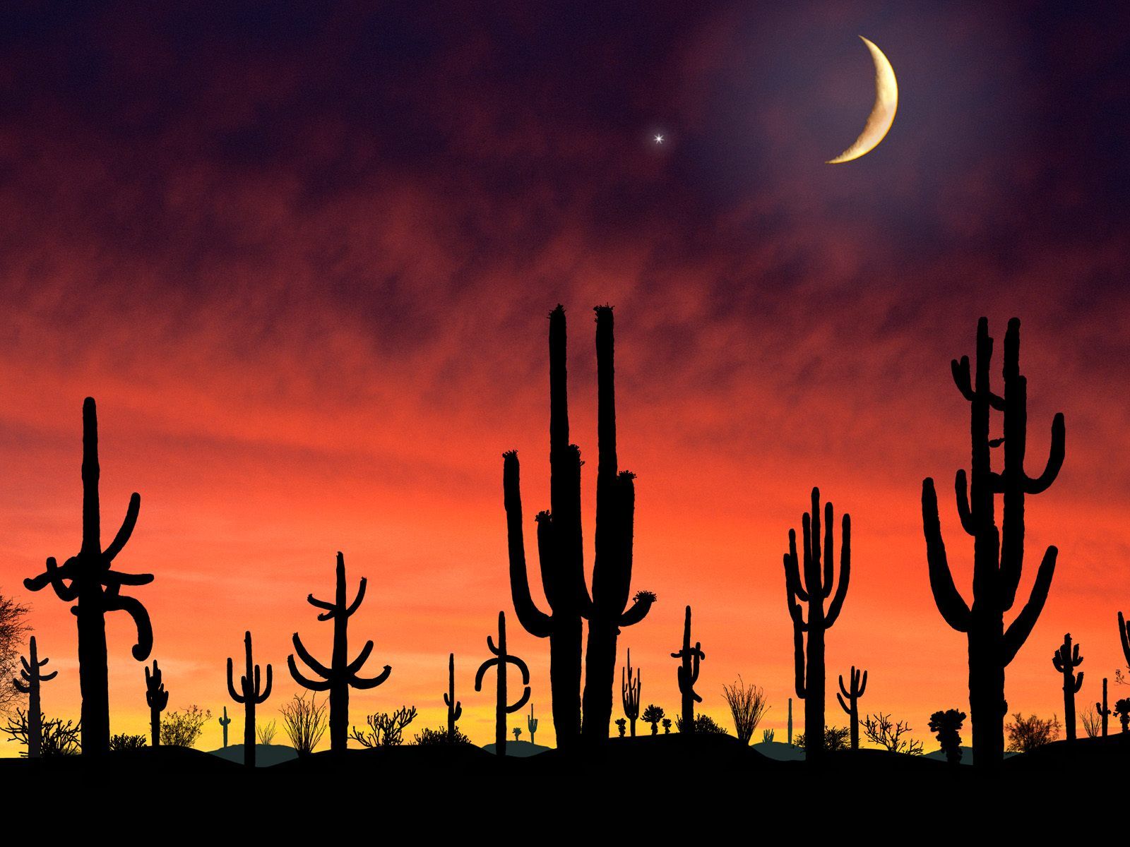 National Park Arizona Puter Art Photography Desktop