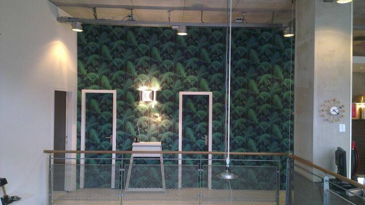 Cole And Son S Wallpaper Palm Jungle Bijdendom Nl Pins From