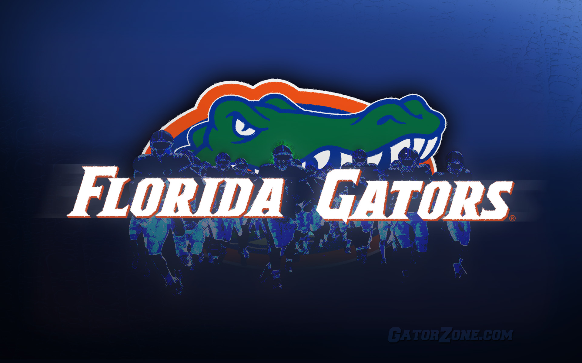 Florida Gators Football Wallpaper HD