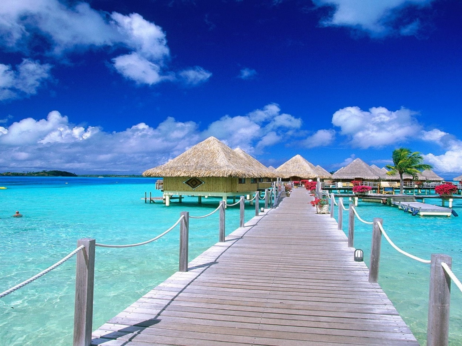 🔥 Download Bora Vacations Wallpaper13 by @emilyc47 | Bora Bora ...