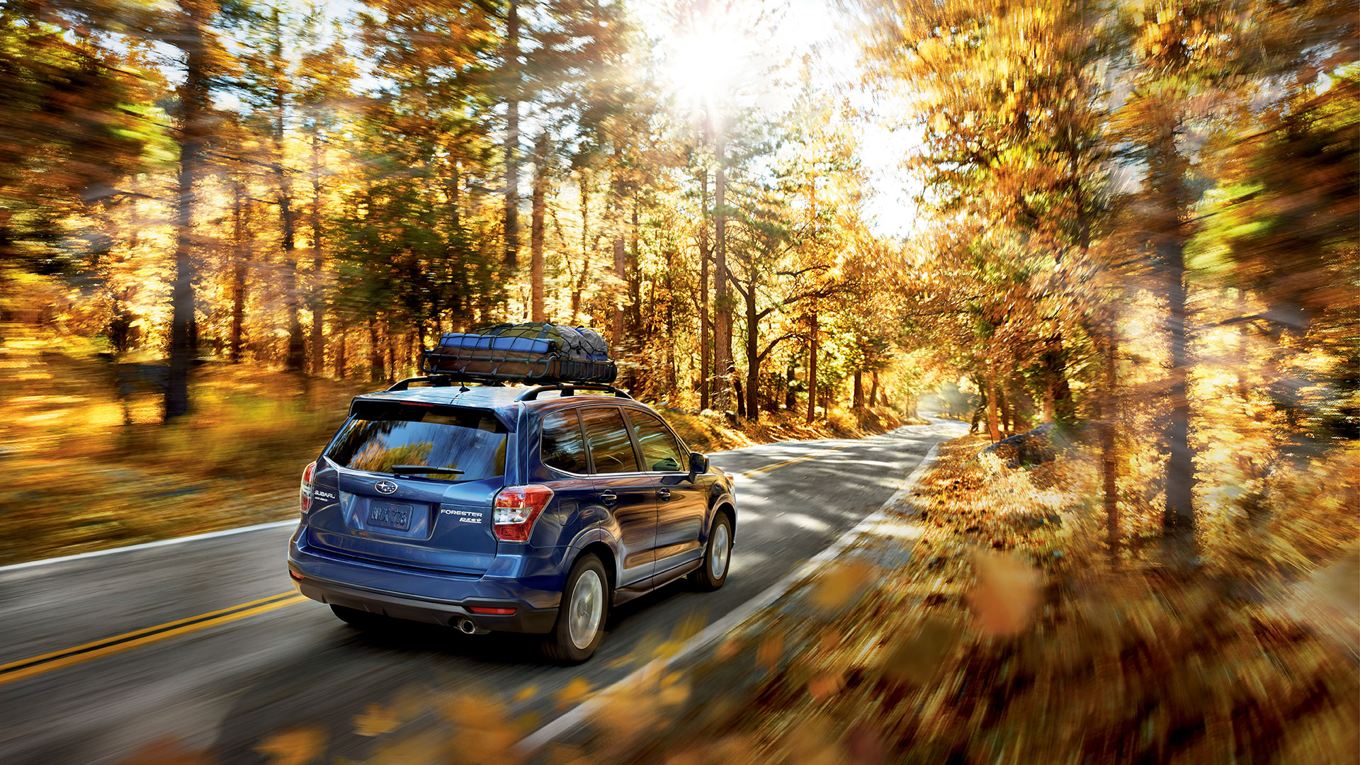 Subaru Forester Wallpaper Autumn