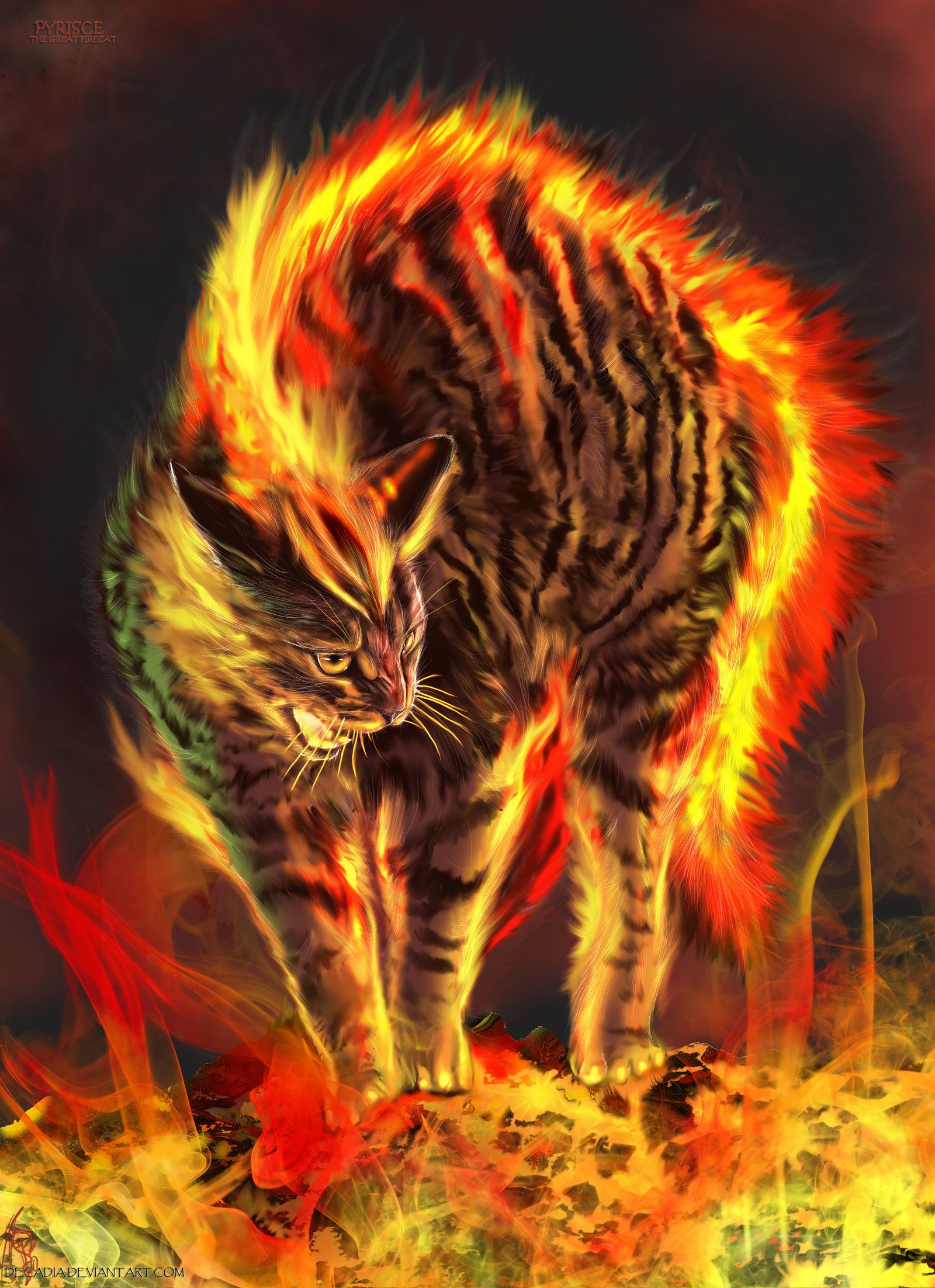 Pyrisce The Firecat By Decadia Cats Artists Cat