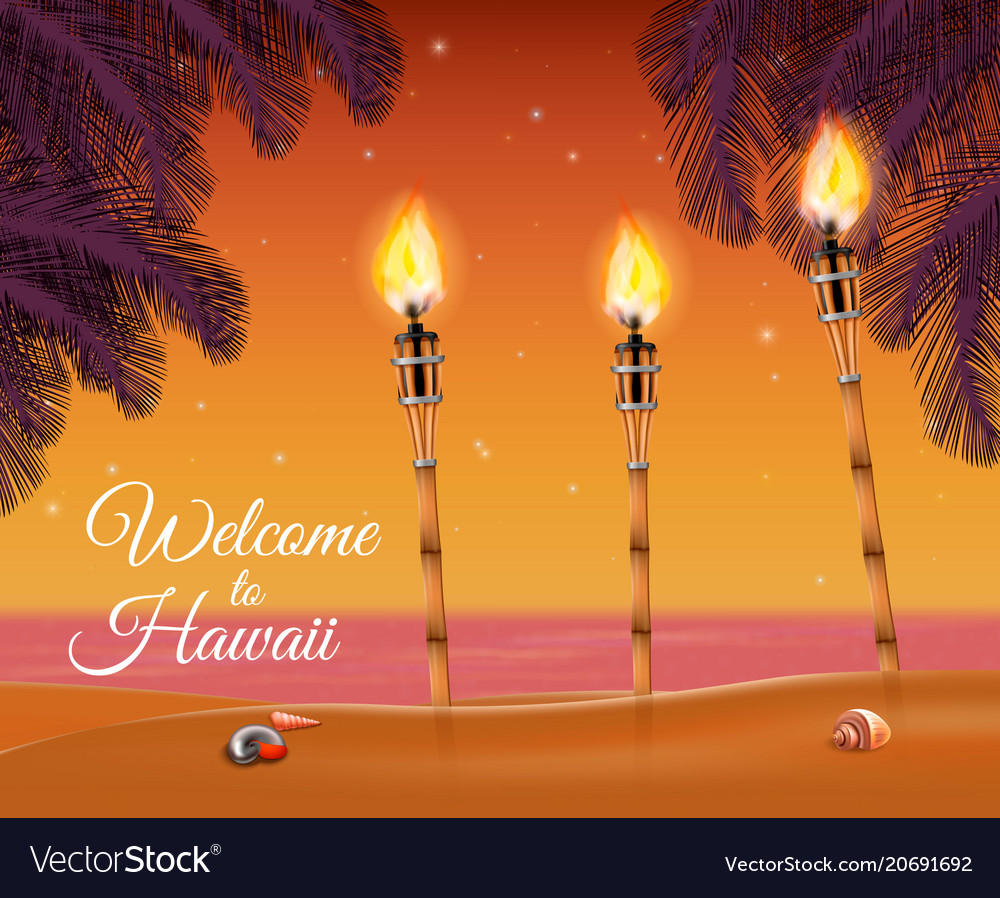 Hawaii beach torch background Royalty Free Vector Image