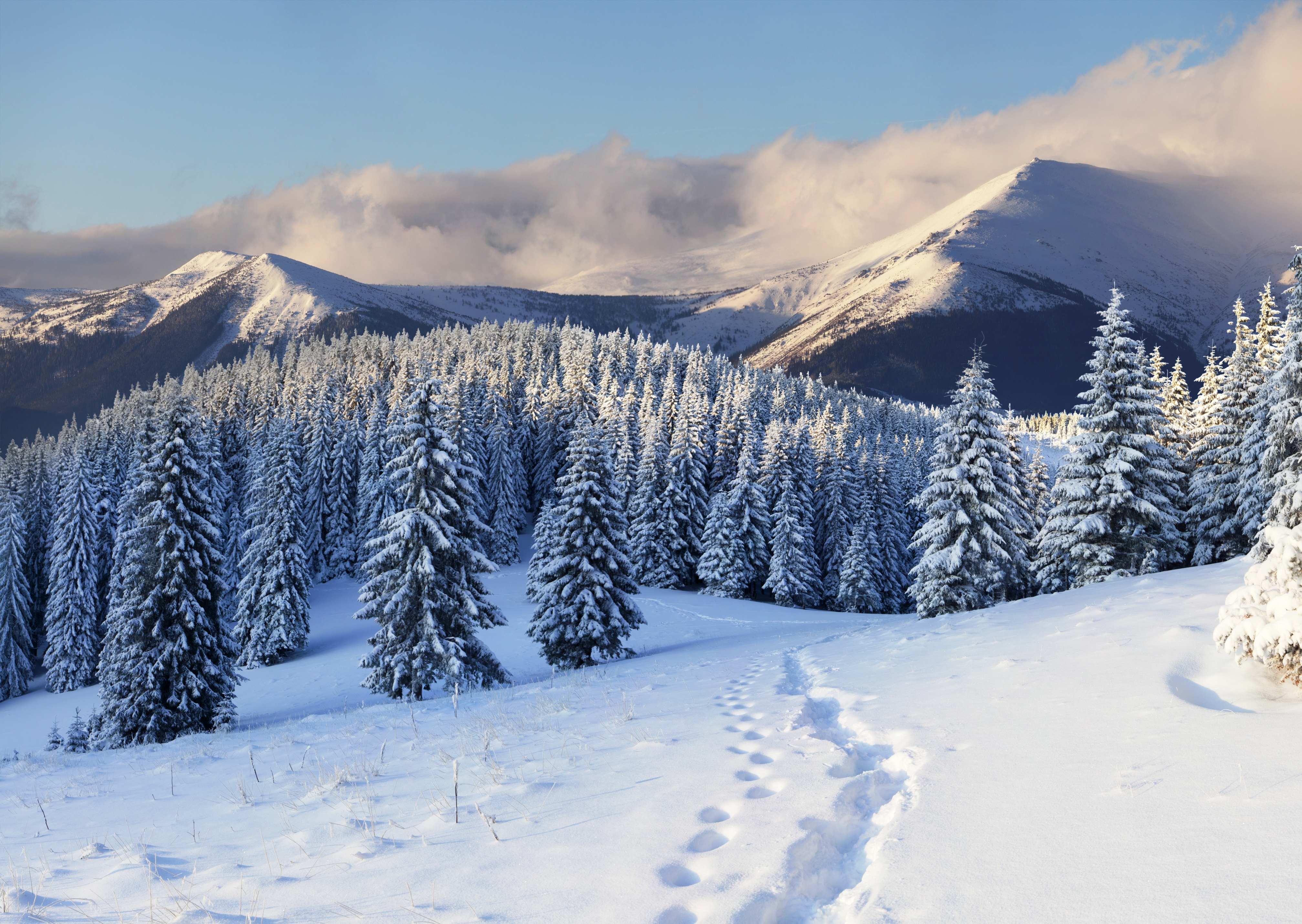winter landscape photography wallpaper