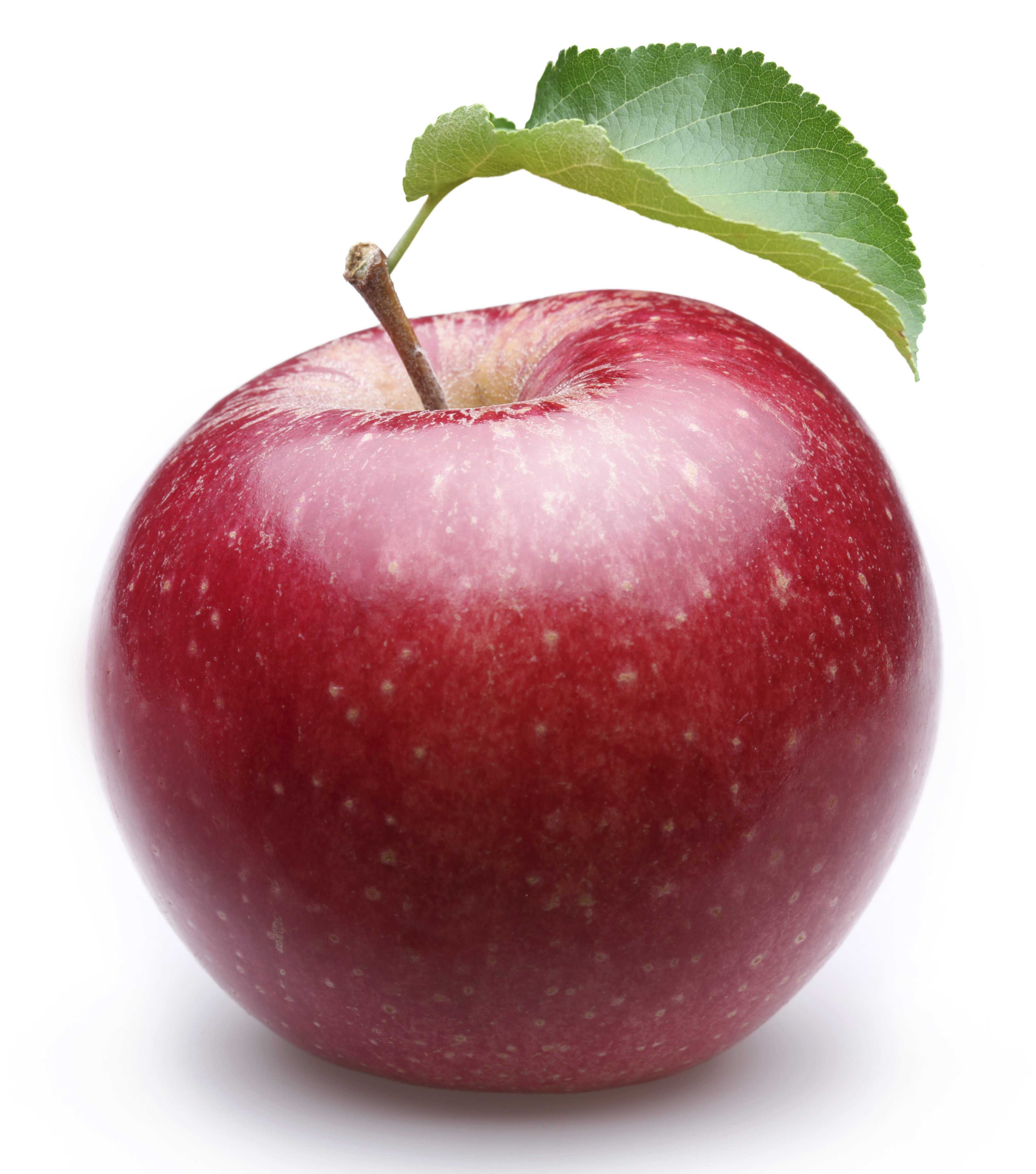 Organic Apples Online Wallpaper