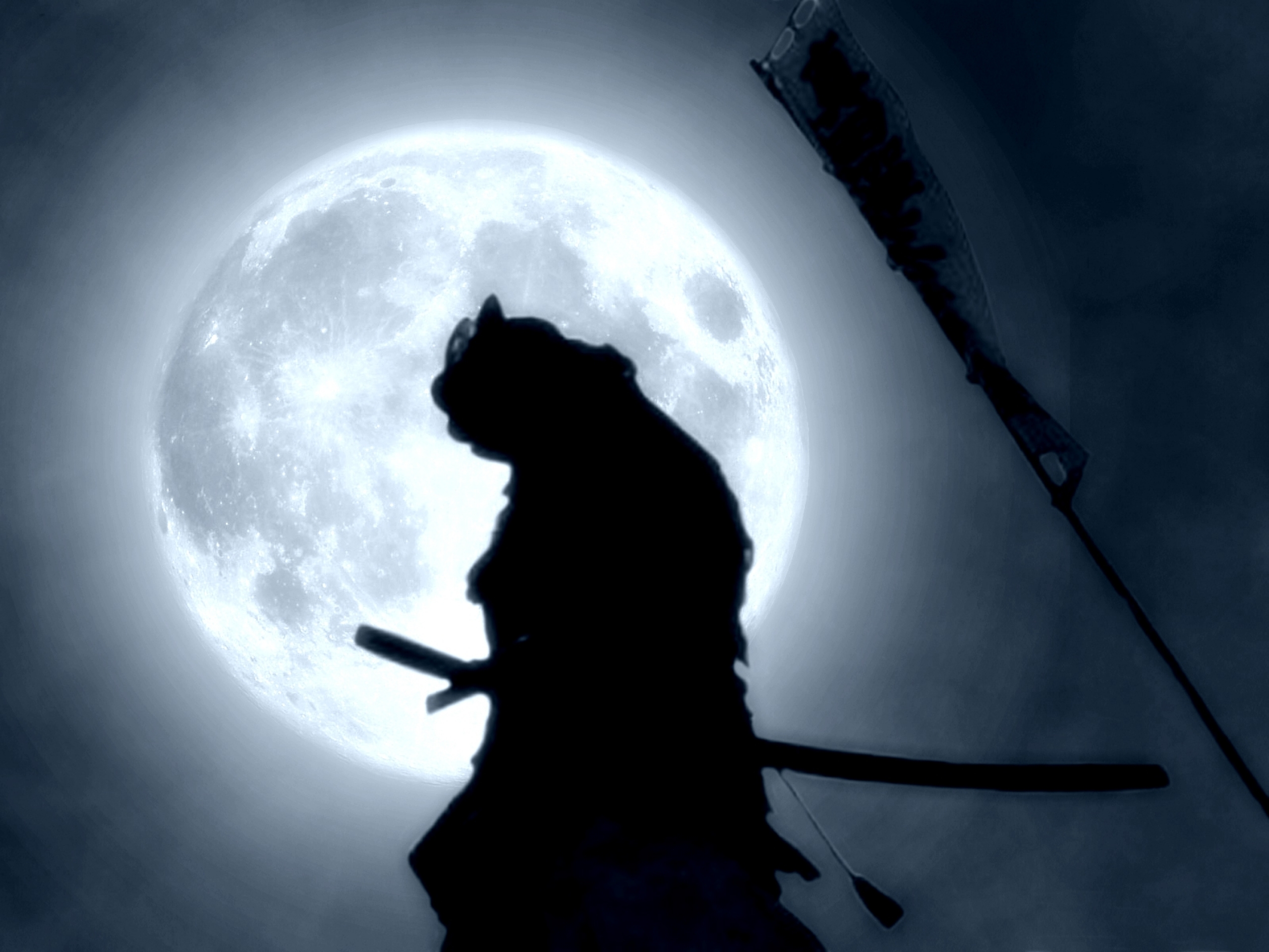 Silhouette of a samurai against a full moon, carrying a katana and a flag