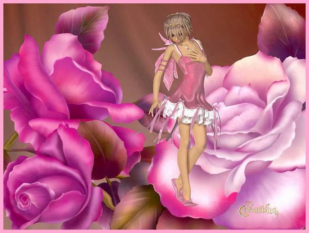 Pink Rose Fairy wallpaper   ForWallpapercom