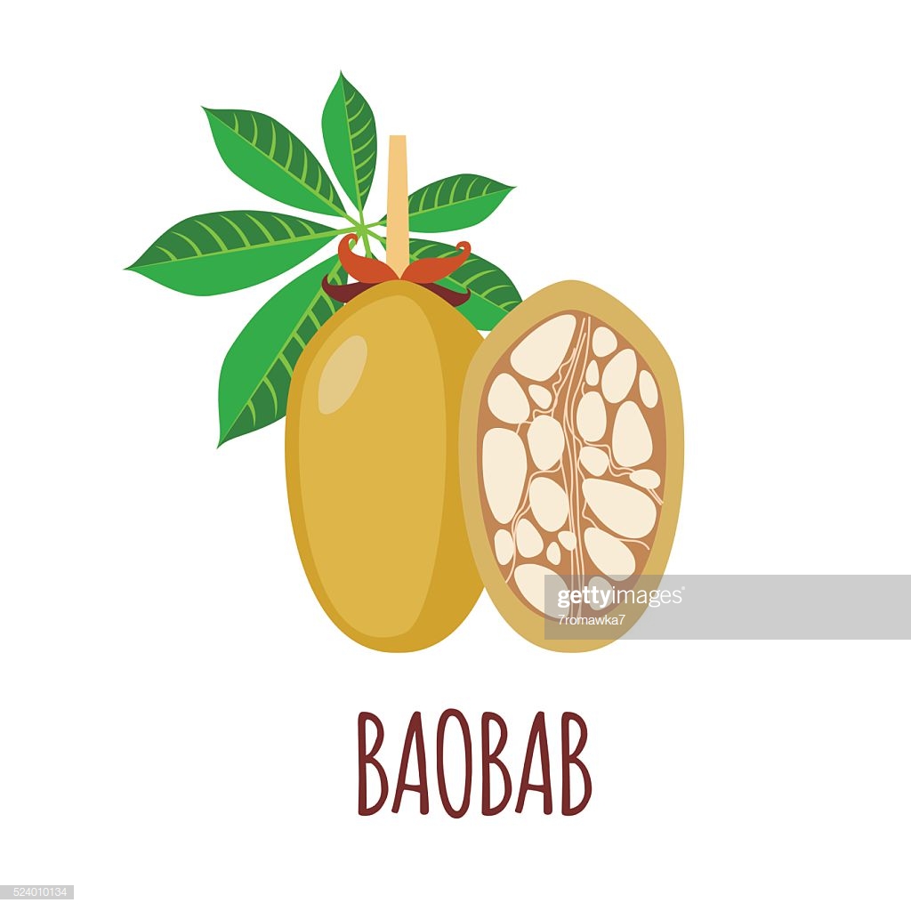 Baobab Icon In Flat Style On White Background Stock Vector Getty