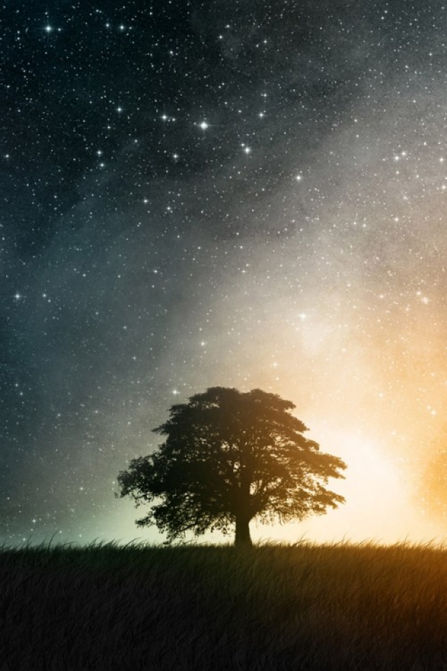 Free Download Tree Under Star Light Iphone Hd Wallpaper Iphone Hd Wallpaper 640x960 For Your Desktop Mobile Tablet Explore 48 Wallpaper Under 5 00 For Walls Wallpaper Under 5 00 For