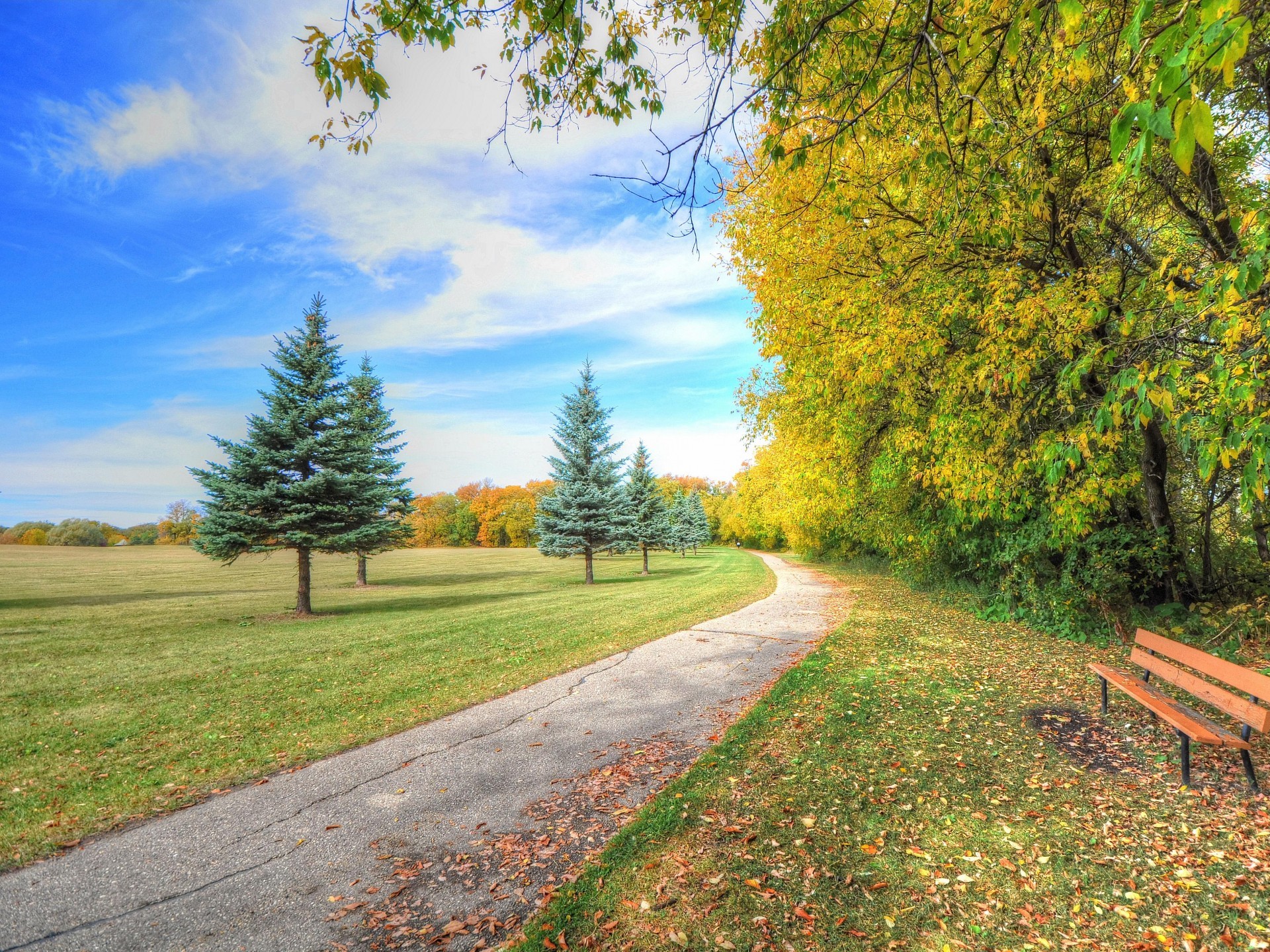 A paved path winds through a vibrant autumn park, flanked by evergreen trees and colorful foliage, with a bench inviting a peaceful rest