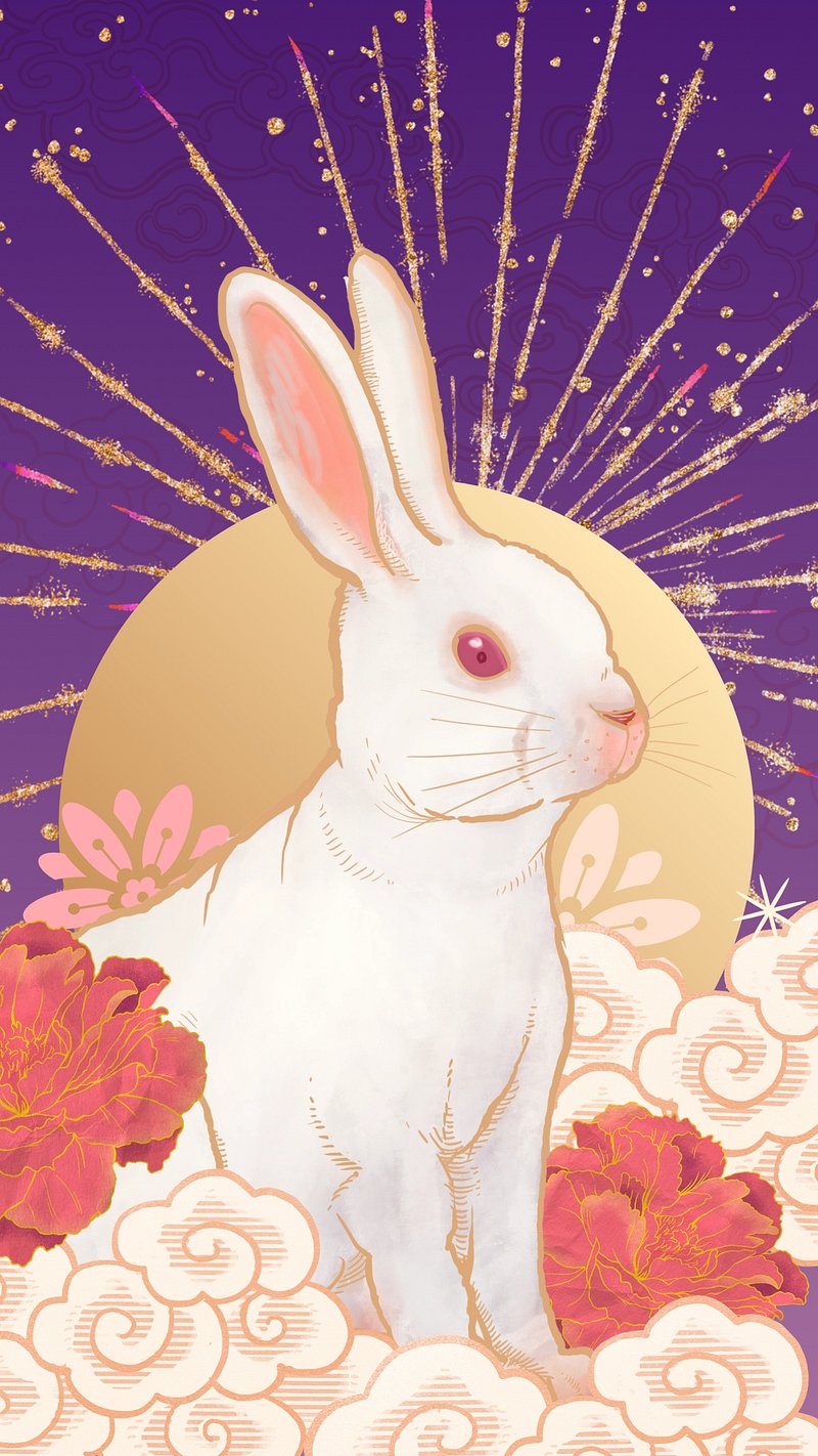Cute Aesthetic Bunny Image Wallpaper