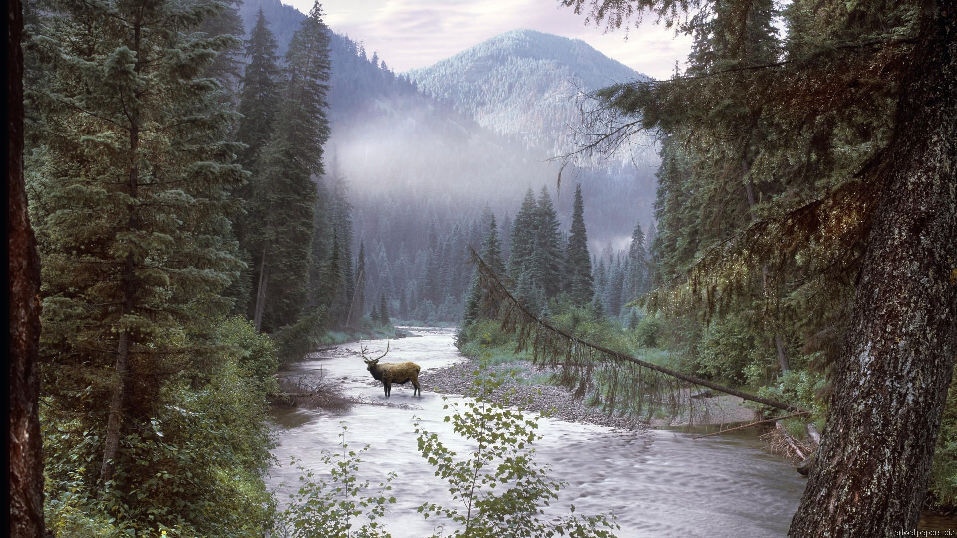 Idaho Wilderness HD Wallpaper Desktop Art
